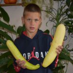Малахов Сергей ученик 6 класса номинация "Овощ необычный" (огурец)